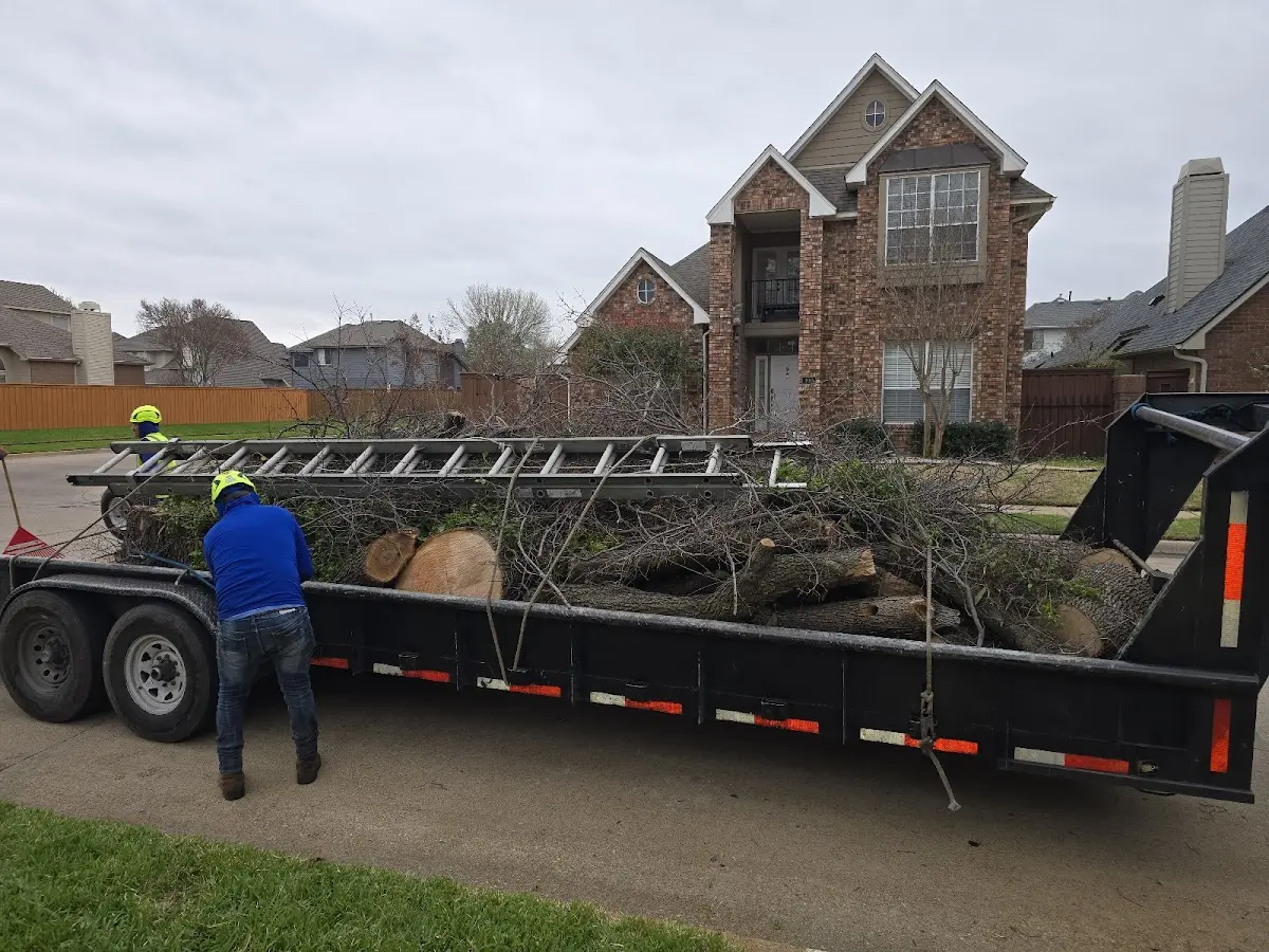 Expert Crown Reduction with proper safety equipment in Bellaire